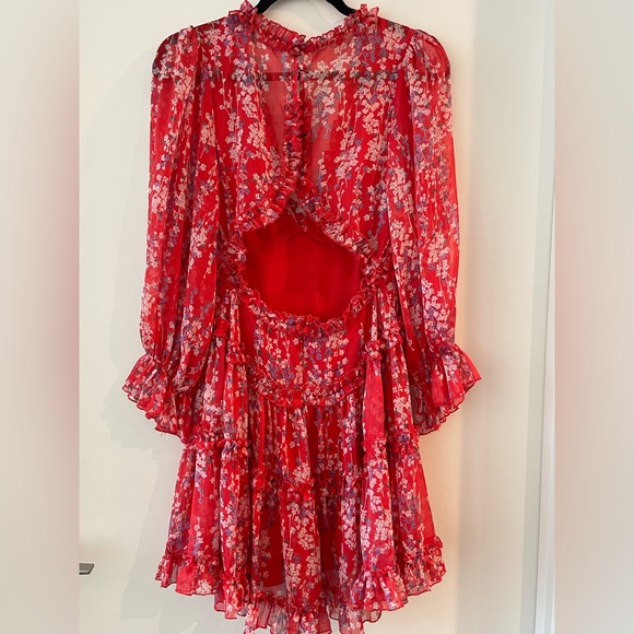 Vici super cute girly dress! - Picture 2 of 4